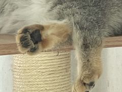 -青藏高原野生动物园