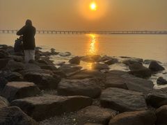 -宝安西湾红树林湿地公园