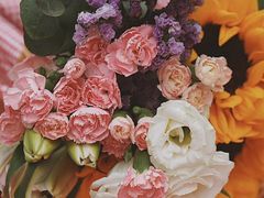 -苏州河梦清园环保主题公园