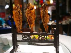 -院8里·少城记忆老川菜(宽窄巷子店)