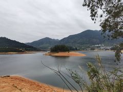 -广州市流溪河国家森林公园