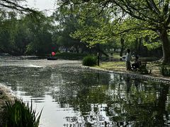 -上海共青森林公园