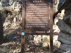 -阳台山自然风景区