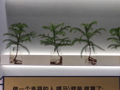 -爱欢洗ifunwash(北辰店)