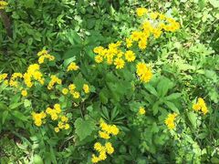 -楠溪江风景名胜区