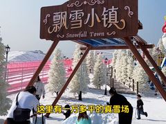 -盈香心动乐园