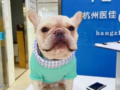 -萌兽医馆·宠物医院·猫骨科(创景店)