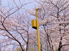 -西北湖绿化广场