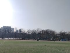 -五环公园