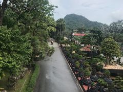 -东芭乐园