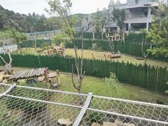 -沈阳森林动物园