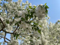 -远洋未来广场(育慧北路店)