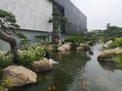 -罗红摄影艺术馆