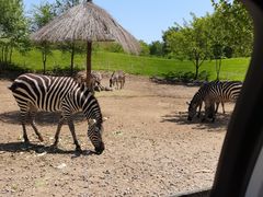 -北京野生动物园