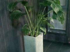 -阿伟海鲜楼·福建菜(涵江店)