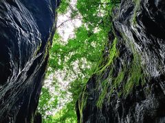 -牛背梁国家森林公园