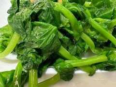 清炒豆苗-贵州大厦贵州厅(樱花园西街店)
