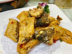 -寻味顺德·南记酒家·传统顺德菜·鱼生(广源路店)