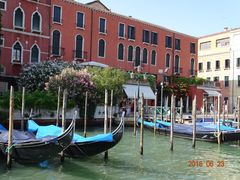 -圣马尔谷圣殿宗主教座堂