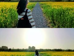 -汉长安城未央宫国家考古遗址公园