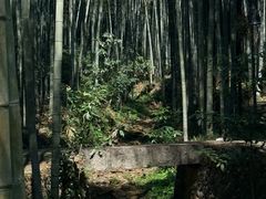 -黄公望隐居地
