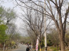 -北京凤凰岭
