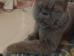 -平行世界·猫咖(首经贸店)