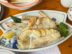 -天正河鲀·河豚亭(大连店)