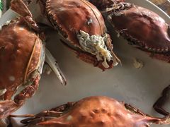 -张会海鲜饭店(东戴河店)