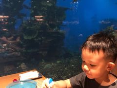 -海棠湾洲际-涛·海底餐厅·美人鱼·自助餐·海底隧道