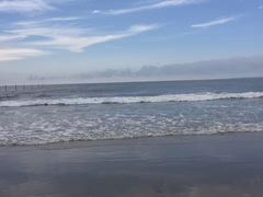 -东海岛旅游度假区