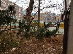 -大连市第二十四中学