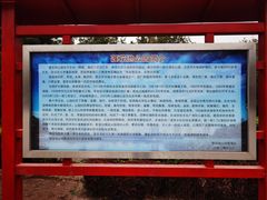 -莲花池公园