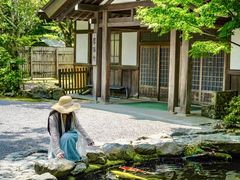 -大阪海游馆
