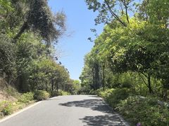 -汤山公园
