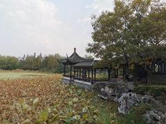-高子水居