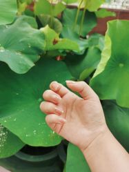 -JNK皮肤管理中心