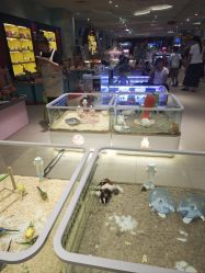 -meland亲子乐园·派对·研学(淄博万象汇店)