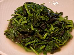 紫菜炒菠菜-醉舍·新淮扬菜(长宁龙之梦店)
