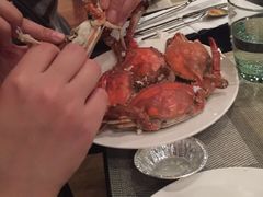 -富力希尔顿酒店·地阔自助餐厅