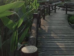 -成都市活水公园