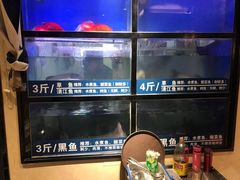水产区-爱妻鱼•老体北重庆水煮鱼•川菜(白云路店)