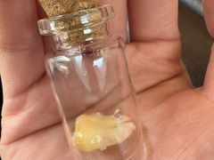 -瑞泰口腔(龙湖门诊)