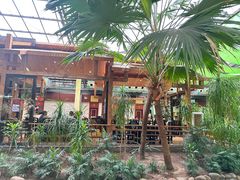-陶然居·重庆菜(生态园店)