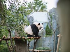 -五龙山野生动物王国