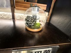 -芸山季·云南山珍菌火锅(人民广场来福士店)