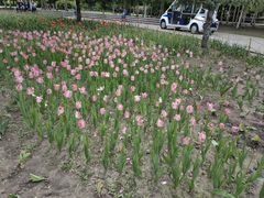 -长春公园(普阳街道)