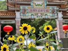 -广州市流溪河国家森林公园