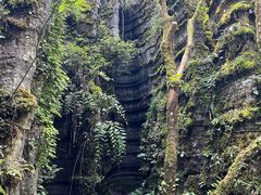 -梭布垭石林景区