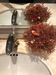 点击看大图 -昆明梦想医疗美容医院